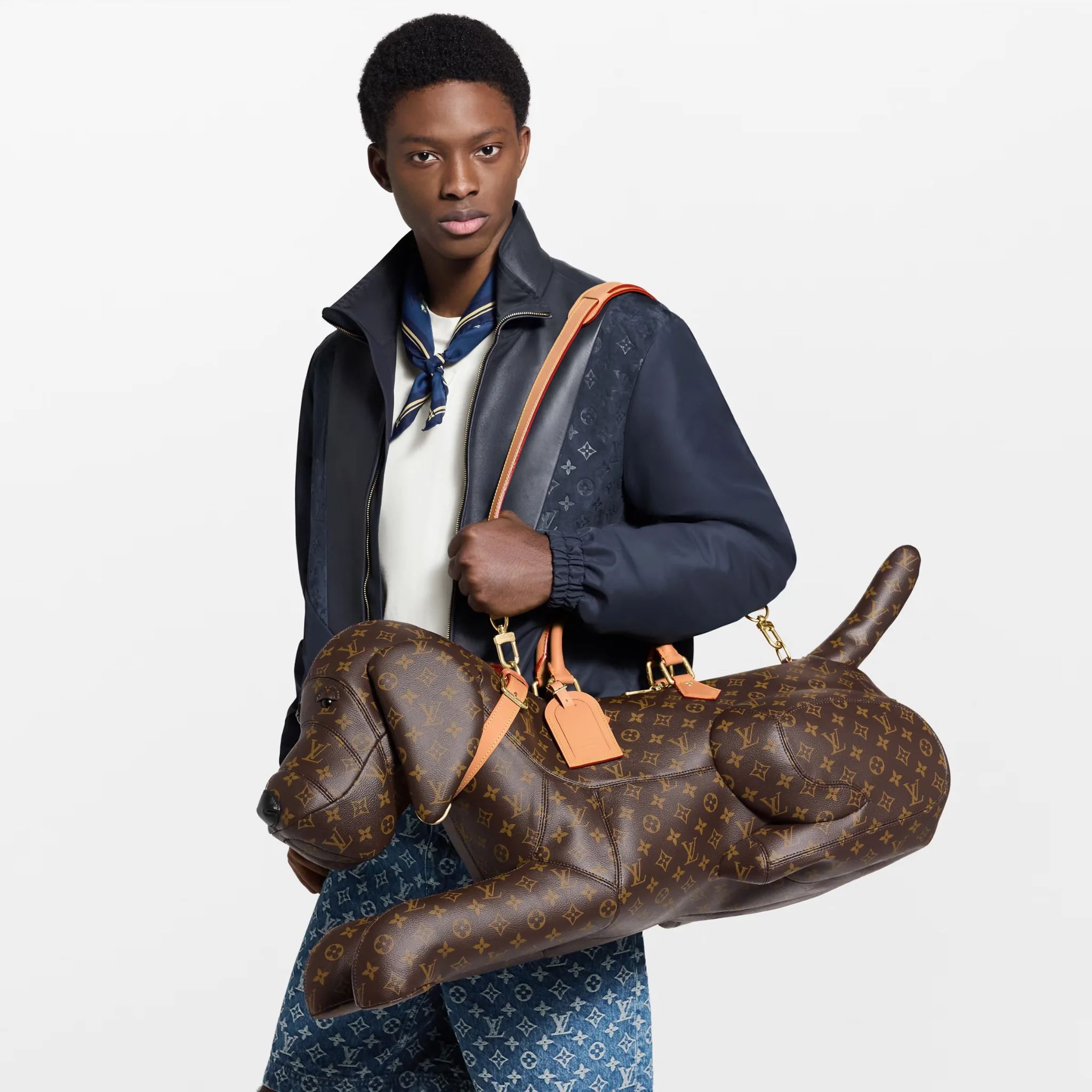 Louis Vuitton Dog Bag in signature Monogram Canvas design
