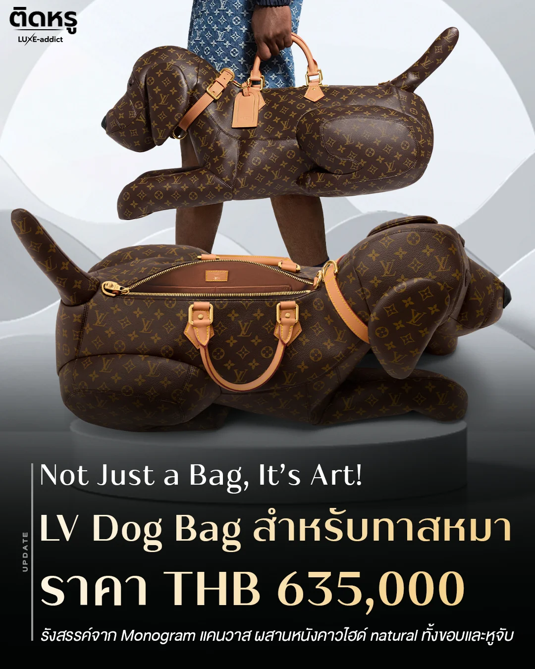 Collector's item Louis Vuitton Dog Bag priced at 635,000 THB