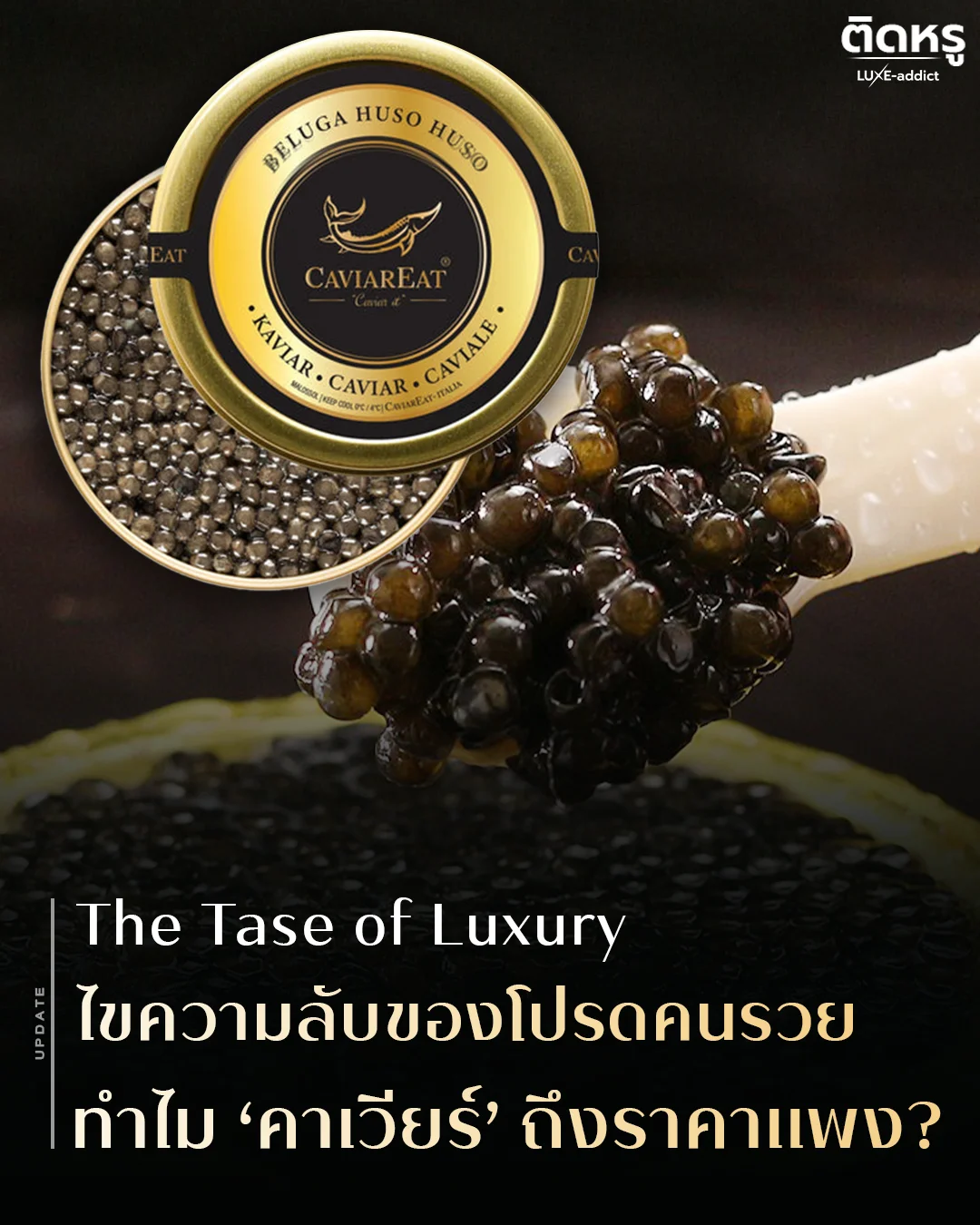 ช้อนเปลือกหอยมุกอุปกรณ์สำคัญในการทานคาเวียร์ไม่ให้รสชาติเพี้ยน